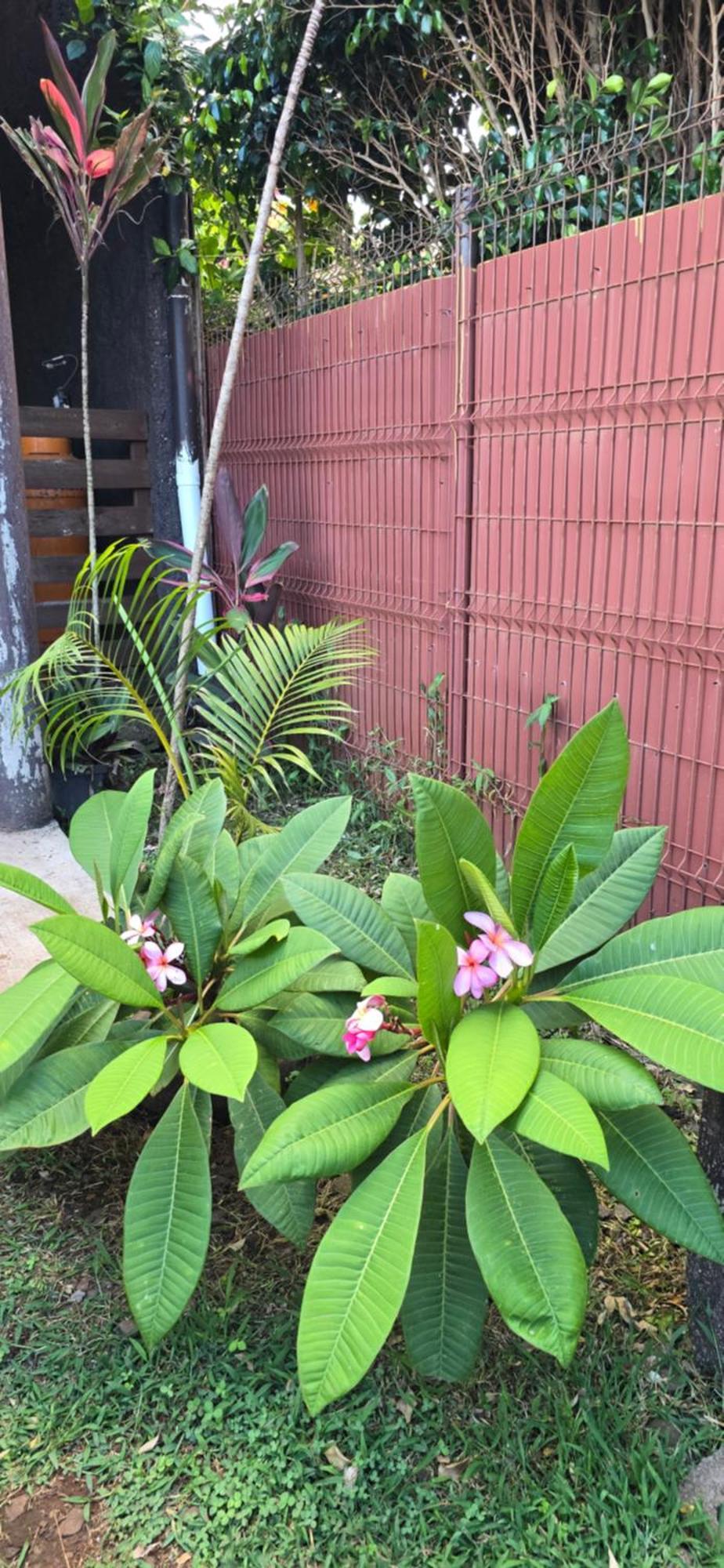 Apartamentos Tupuna Lodge 앙가로아 외부 사진